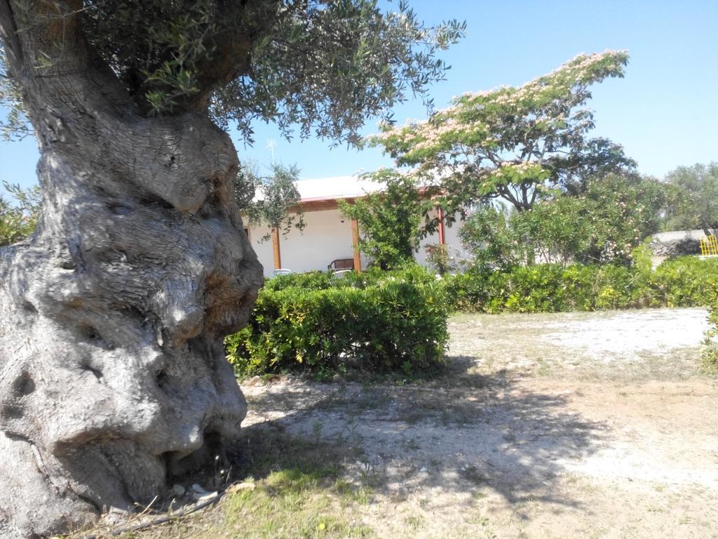 Agriturismo Villa Tommaso Torre dell'Orso Exterior foto